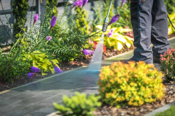 Animal Enclosure Cleaning in Bellevue, MI