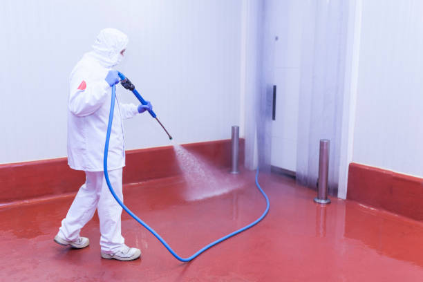 Best Driveway Pressure Washing  in Bellevue, MI