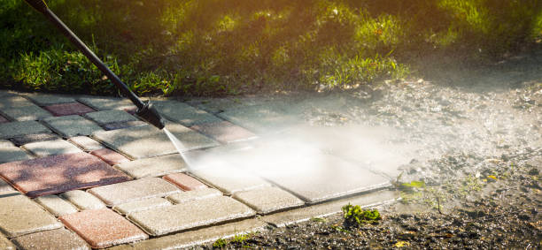 Best Pre-Holiday Cleaning  in Bellevue, MI